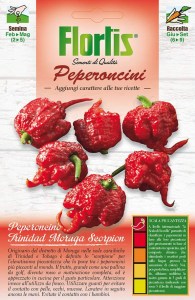 Chilli papricky, Trinidad Moruga Scorpion, papricky trinidad,